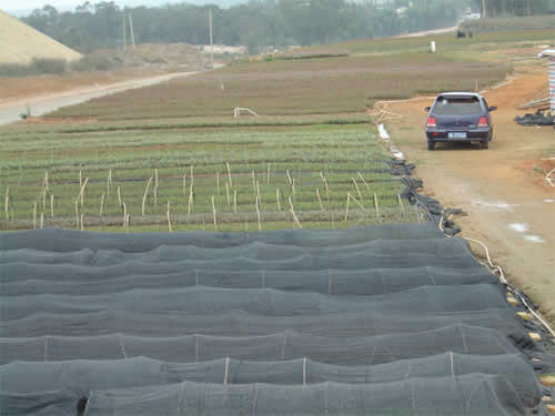 �D�����һ�� �c(di��n)���ɷŴ�