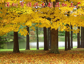 �D�������� �c(di��n)���ɷŴ�