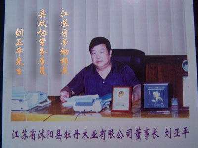 �D����˾�����L:����ƽ �c���ɷŴ�