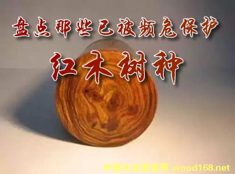 �P�c��Щ�ѱ��lΣ���o�tľ��N