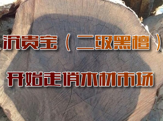 ���F���_(k��i)ʼ����ľ���Ј�(ch��ng)