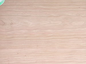 b�������z�ϰ�