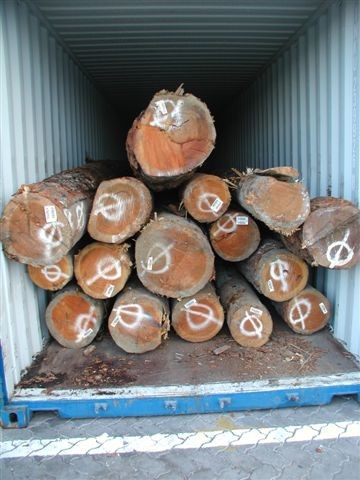 ���ô�����䏲�ԭľ��Ԕ����B