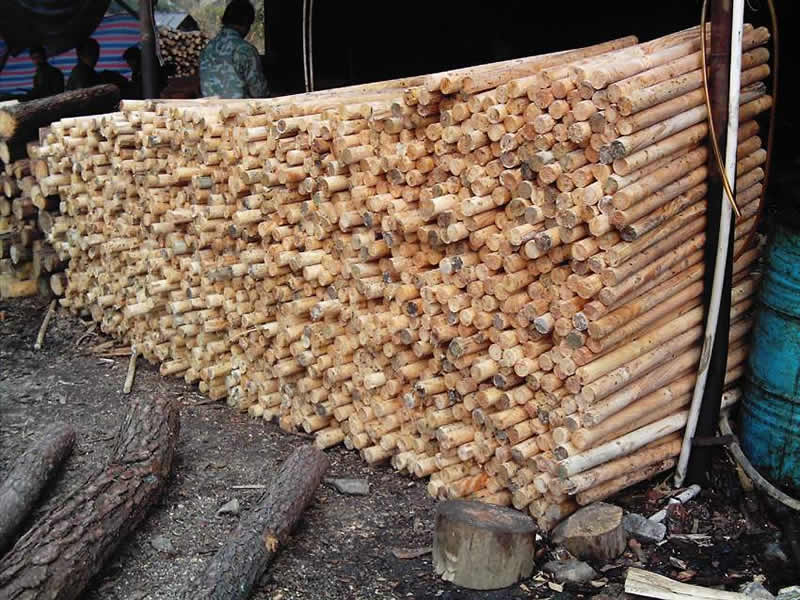 �@ľ����Ԕ��(x��)��B