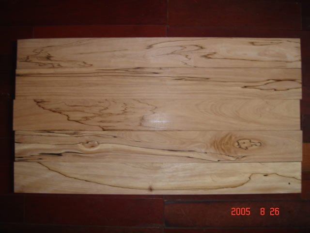 ���_˹��ľ���ھ�(xi��n)�壩��Ԕ��(x��)��B