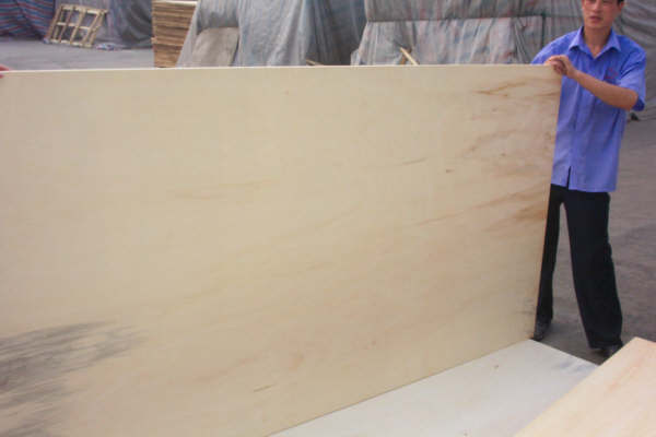 �ߙn�z�ϰ��Ԕ��(x��)��B