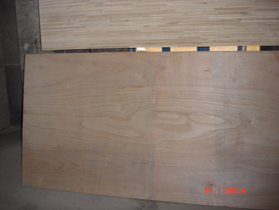 �ߙn��(x��)ľ�����Ԕ��(x��)��B