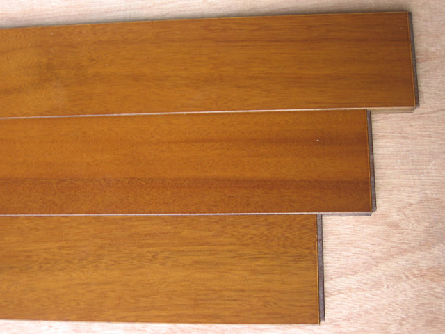 �G������ľ�ذ��Ԕ��(x��)��B