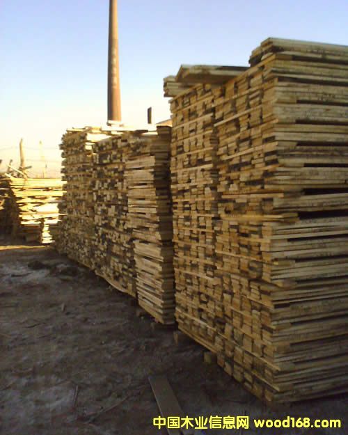 ���ψ���Ԕ��(x��)��B