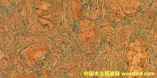 ܛľ������Ԕ��(x��)��B