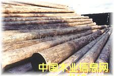 ����늗U��Ԕ��(x��)��B