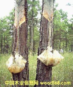 �ɘ��Ԕ����B