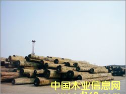 ���}���Ԕ��(x��)��B