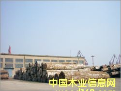 ����Ī���ȼt���ҵ�Ԕ��(x��)��B