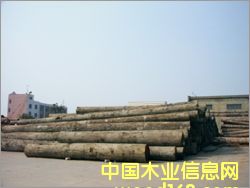 ӡ��������Ԕ��(x��)��B