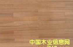 ��ľ��(f��)�ϵذ��Ԕ��(x��)��B