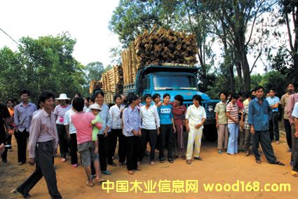 ����ľ�Sľ���\(y��n)ݔ�F(xi��n)����Ԕ��(x��)��B