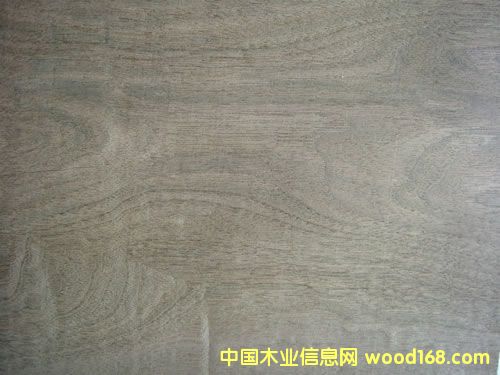 ���Ҙ�Ƥ��Ԕ��(x��)��B