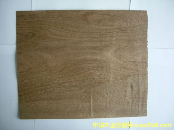 ���Ҙ�Ƥ��Ԕ��(x��)��B