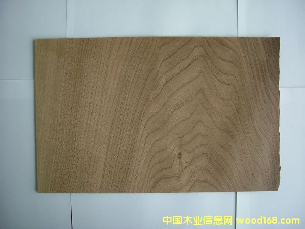 ���Ҙ�Ƥ��Ԕ��(x��)��B