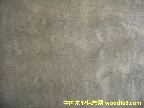 ���Ҙ�Ƥ��Ԕ��(x��)��B