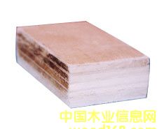 ��ľLVL��Ԕ����B