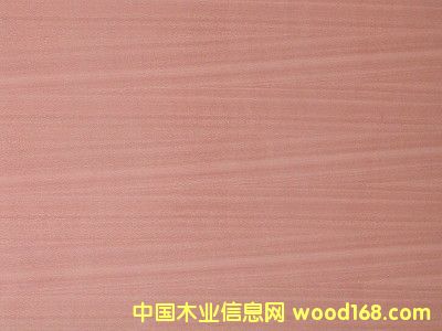 Sapele Plywood��Ԕ��(x��)��B