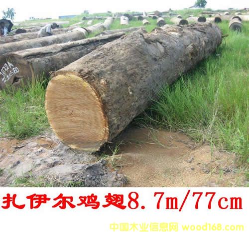 WENGE  �� �u ���Ԕ��(x��)��B