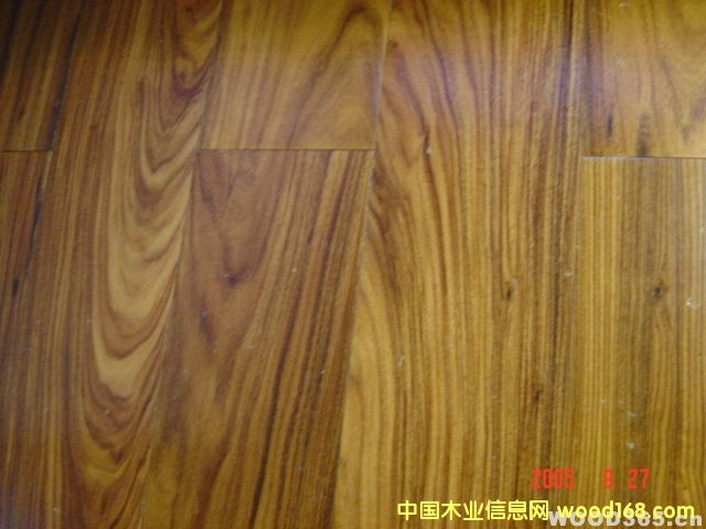 ��֦��Ԕ����B