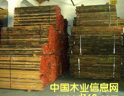 Beech �W��ɽë�� ���M(j��n)�ڰ�ľ��Ԕ��(x��)��B