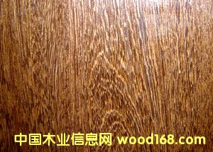 EPϵ���b��N����Ԕ��(x��)��B