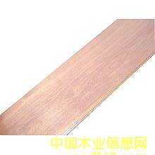 ��ľ��Ԕ����B