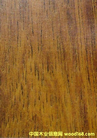 ���_˹�����ɵ�Ԕ��(x��)��B