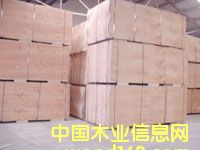 ��ľ�A���Ԕ��(x��)��B