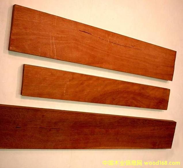 ̴ ľ��Ԕ��(x��)��B