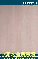 st beech��Ԕ��(x��)��B