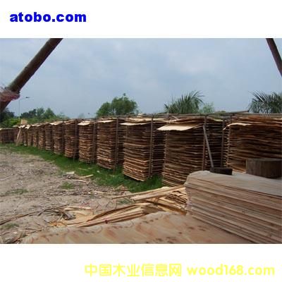 �����m�߼��N����Ԕ��(x��)��B