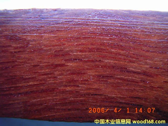 �Ĵ������t��䏲ĵ�Ԕ��(x��)��B