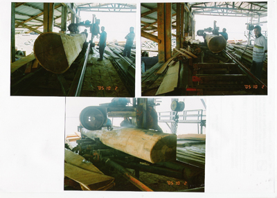 �c���鿴ԭľ�ӹ��F(xi��n)���Ŵ�DƬ