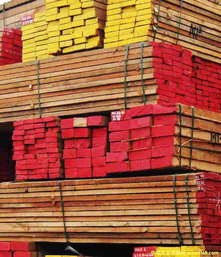 �t/�S���񣨇������Q��Meranti����ĵ�Ԕ��(x��)��B