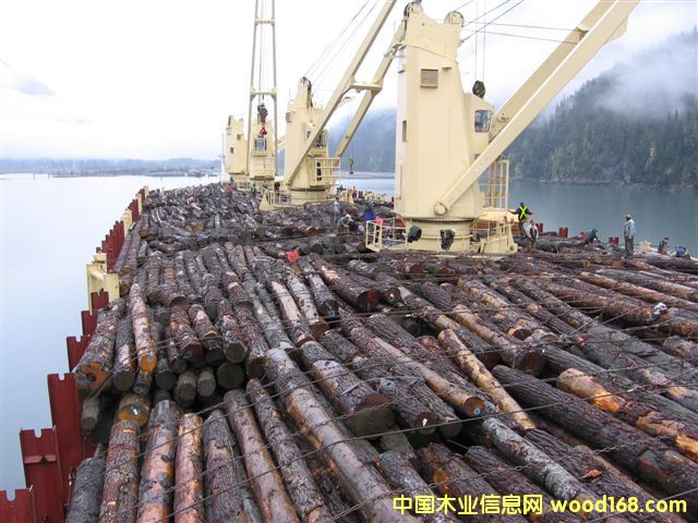 �c(di��n)���鿴���ô���ɼ�Ŵ�DƬ