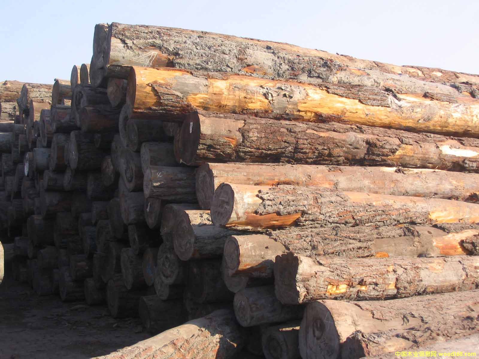 �c(di��n)���鿴���ô��Fɼ�Ŵ�DƬ