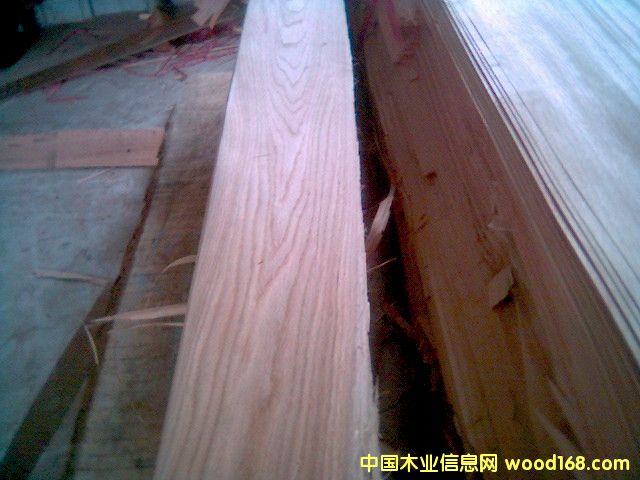 ľƤ��Ԕ��(x��)��B