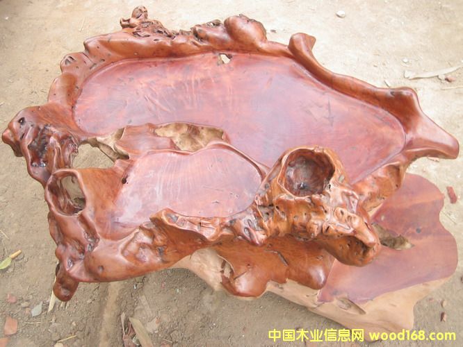 �tľ������(2)