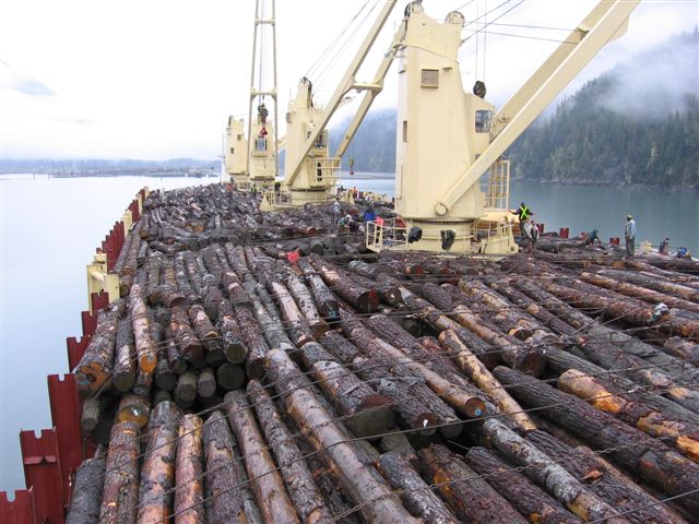 �Fɼ��Ԕ��(x��)��B