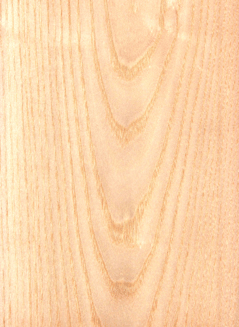 �״���Ԕ��(x��)��B