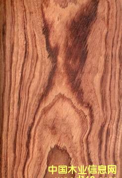 �ϼtľ(�b�����Ƭ��