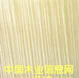 ˮ��ľƤ���͌����z��Ԕ��(x��)��B