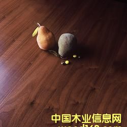 �ں��Ҍ�(sh��)ľ��(f��)�ϵذ��Ԕ��(x��)��B