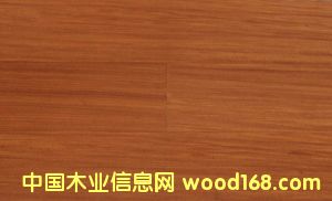 �c(di��n)���鿴��ľ����Ԕ��(x��)�Y��